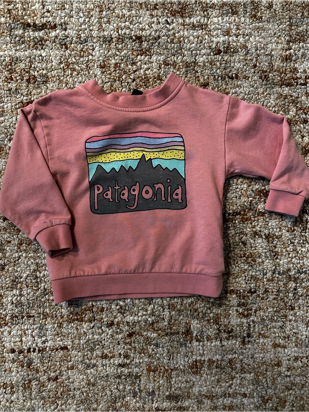 Patagonia Kids Dusty Pink Mountain Logo Sweatshirt